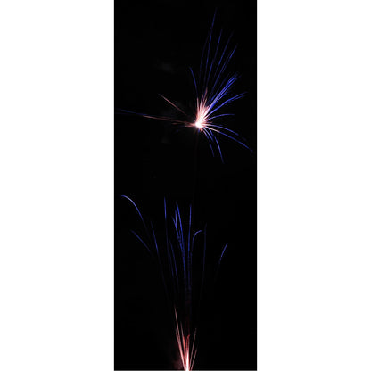 Desert Rose, 25 Schuss