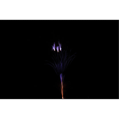 Fuji Fire, 30 Schuss